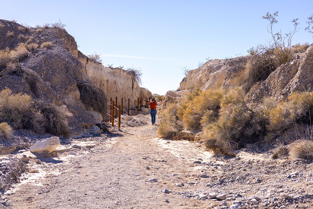 A woman walks through one of the old dig sites at Ice Age Fossils State Park