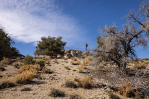 Person standing on rocks in McAfee Canyon.