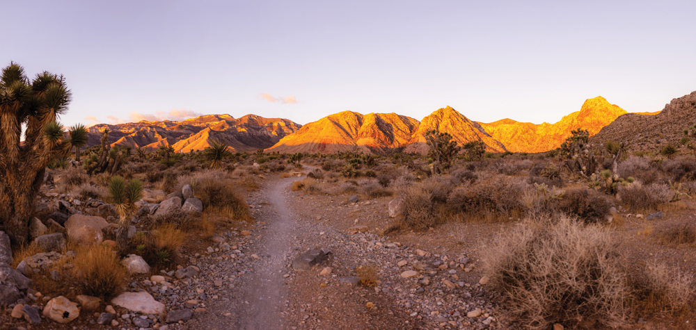 Beginning of the trail at the Late Night Trailhead outside Blue Diamond, a town near Las Vegas.
