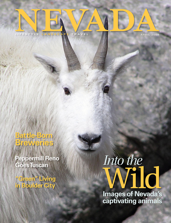 Issue Cover March – April 2008