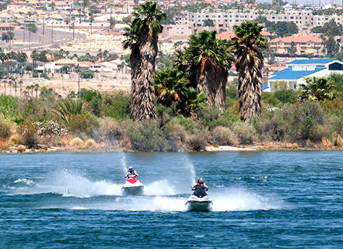 People riding personal watercraft on the river in Big Bend of the Colorado State Recreation Area. City and residential buildings behind them, and palm trees and other trees/shrubs along the shoreline.