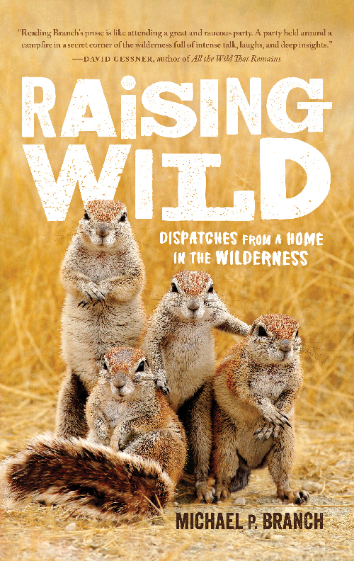 Book cover for "Raising Wild" shows four ground squirrels packed together, staring at the camera. Golden ground cover behind them.
