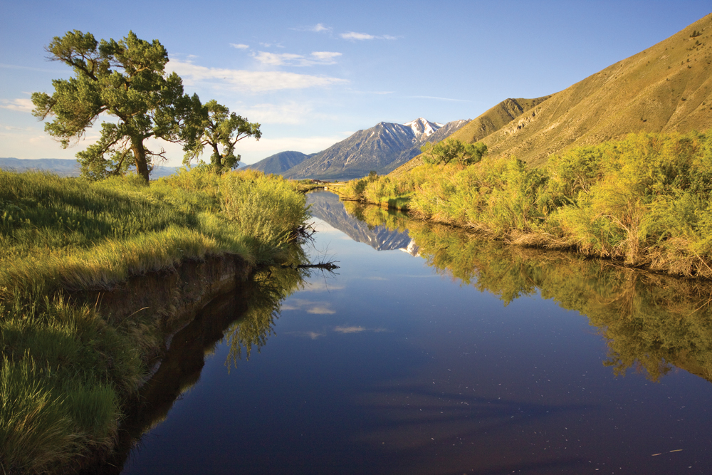 Picture of Jobs mountain in Carson Valley.