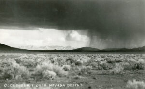 Desert landscape with a cloudburst in the distance. 