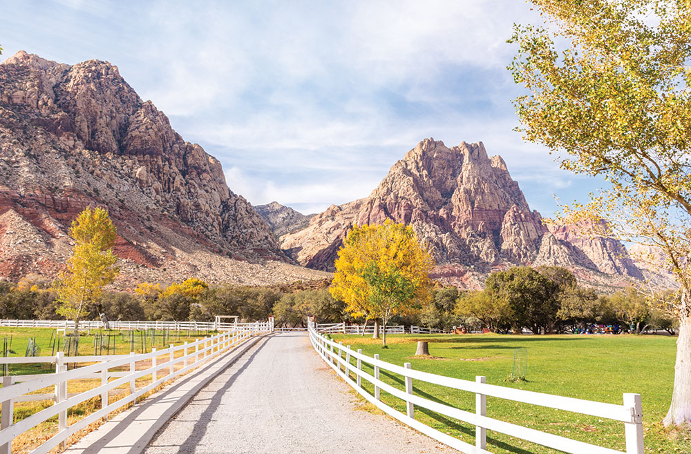 A dirt/gravel driveway leads in to Spring Mountain Ranch State Park. White fencing on either side and around the grassy areas of the park. There are many trees and lots of people on the grass. Dramatic tall mountains rise above the park and the sky is blue with many white clouds.