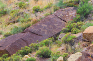 Petroglyphs in Rainbow Canyon.