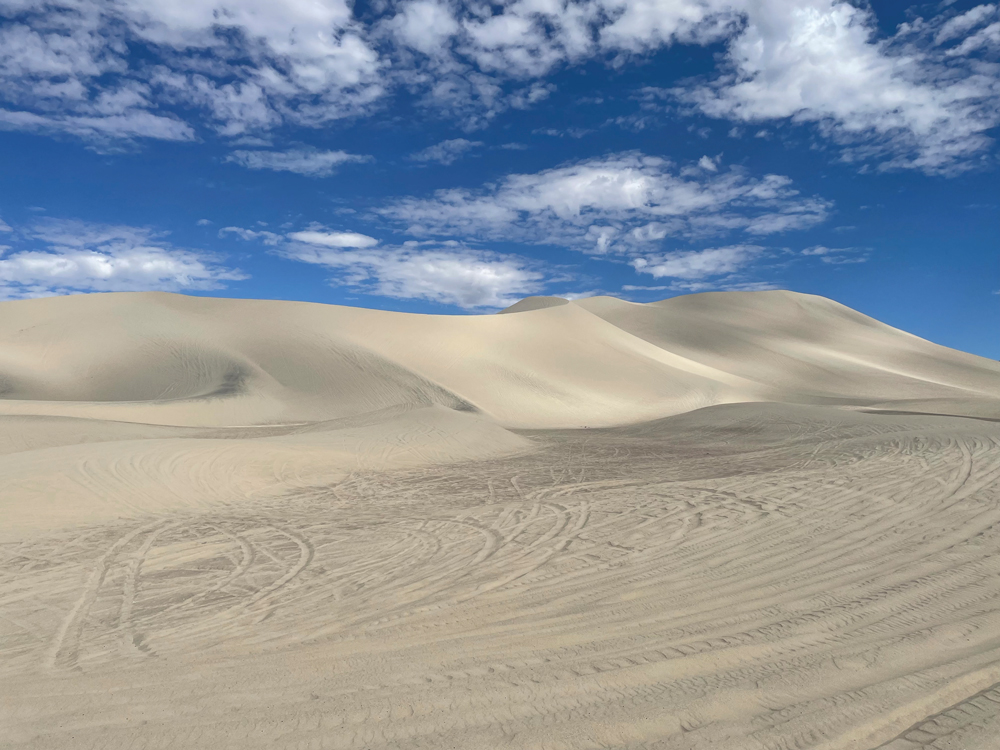 Dunes of Sand Mountain. 