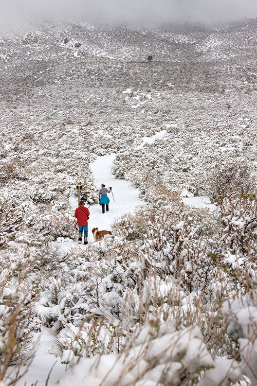 A man and woman, with their dog, snowshoe a trail in the snowy sagebrush. Mountains in the distance are partly covered in storm clouds.