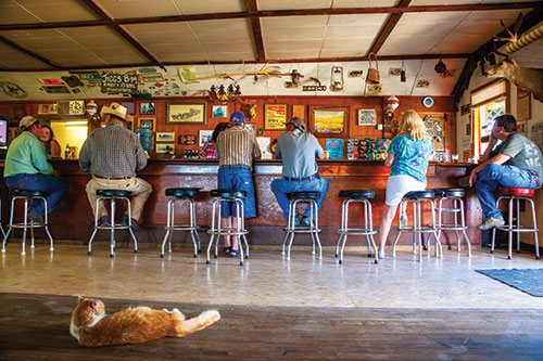 Patrons sit at the bar as a cat lounges on the floor at Jiggs Bar