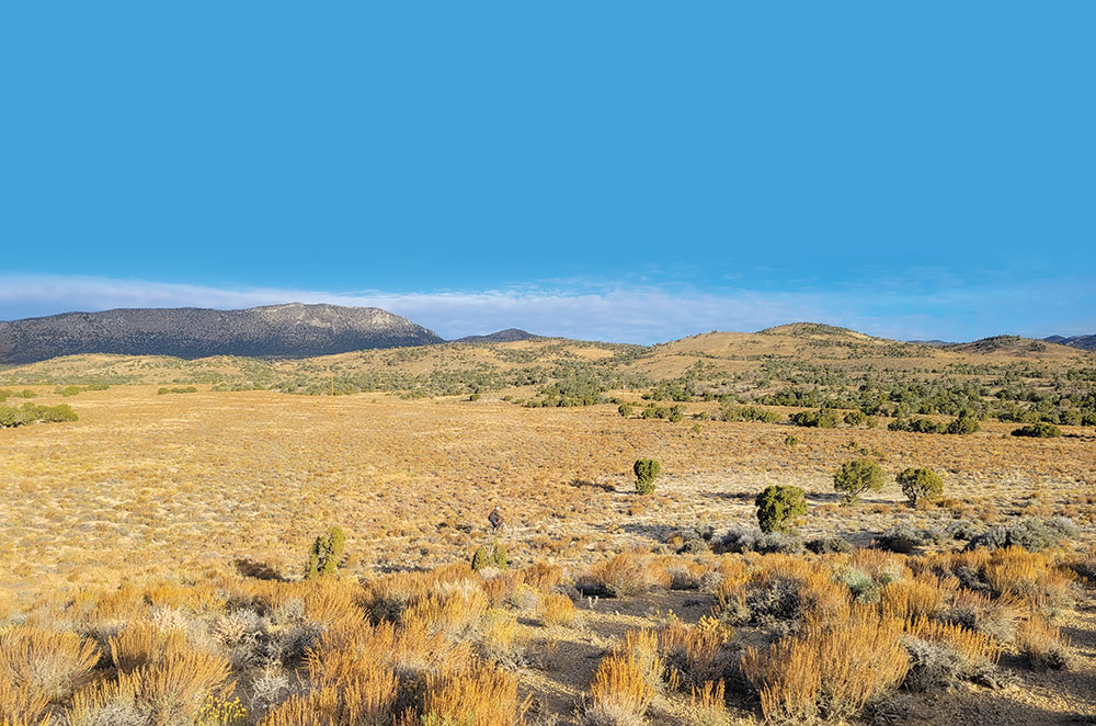 A lone mountain biker cuts through a high desert meadow filled with sagebrush, along a dirt road