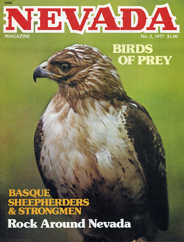 Issue Cover No. 2 1977