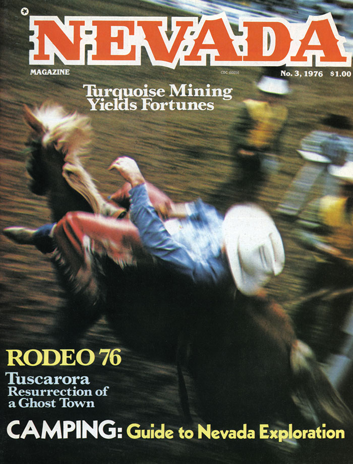Issue Cover No. 3 1976
