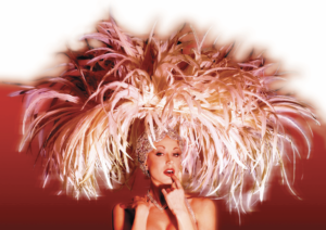 About Las Vegas styles showgirls-Answers to your questions about showgirls,  dancers, and costumed characters. - Exquisitely costumed performers for  parties and events. Screaming QueensExquisitely costumed performers for  parties and events.