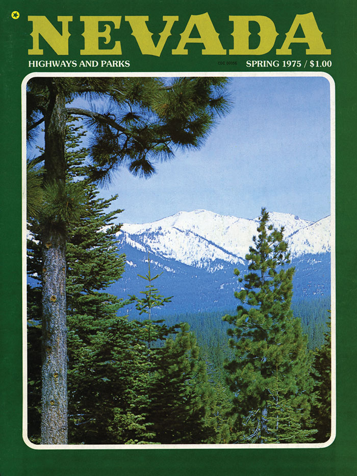 Issue Cover Spring 1975