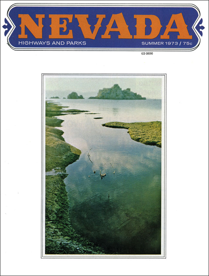 Issue Cover Summer 1973